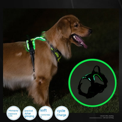 Reflecta™ LED Harness – safety, comfort and style in one