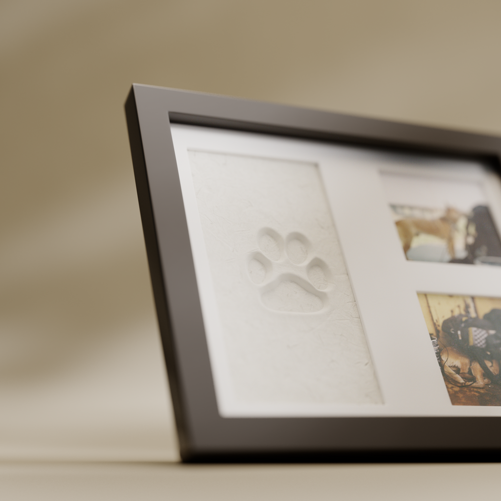 Paw & Print Keepsake Kit