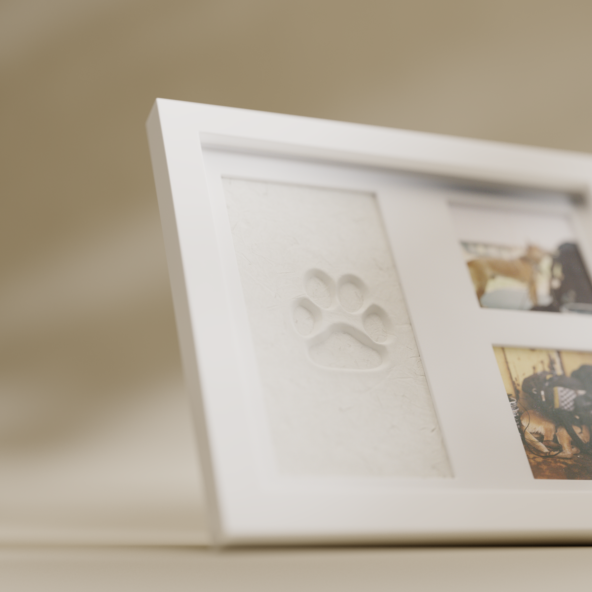 Paw & Print Keepsake Kit