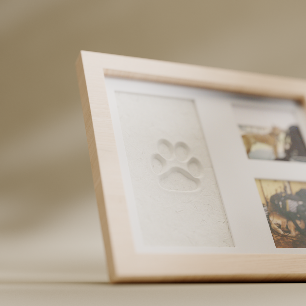 Paw & Print Keepsake Kit