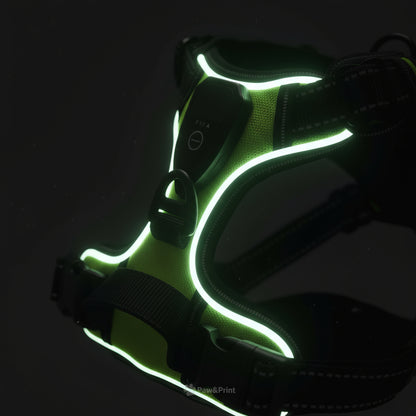Reflecta™ LED Harness – safety, comfort and style in one