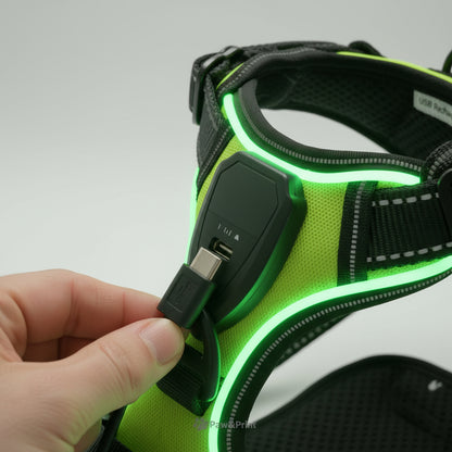 Reflecta™ LED Harness – safety, comfort and style in one