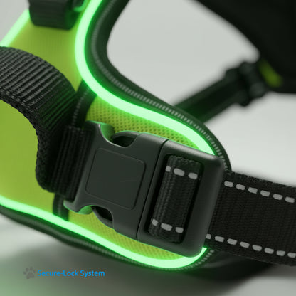 Reflecta™ LED Harness – safety, comfort and style in one