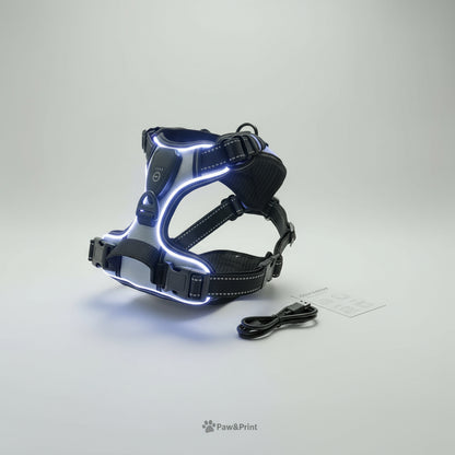 Reflecta™ LED Harness – safety, comfort and style in one
