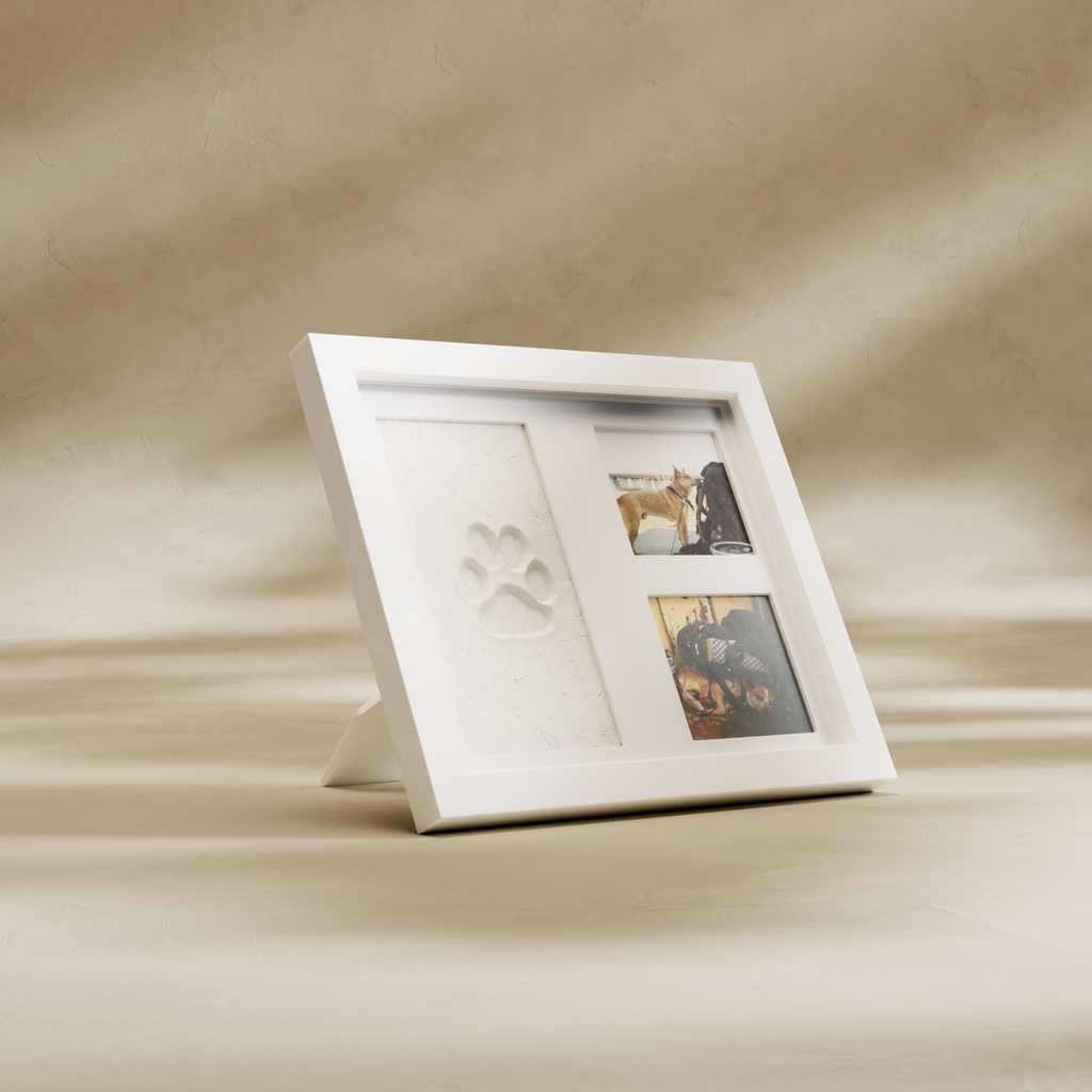 Paw & Print Keepsake Kit