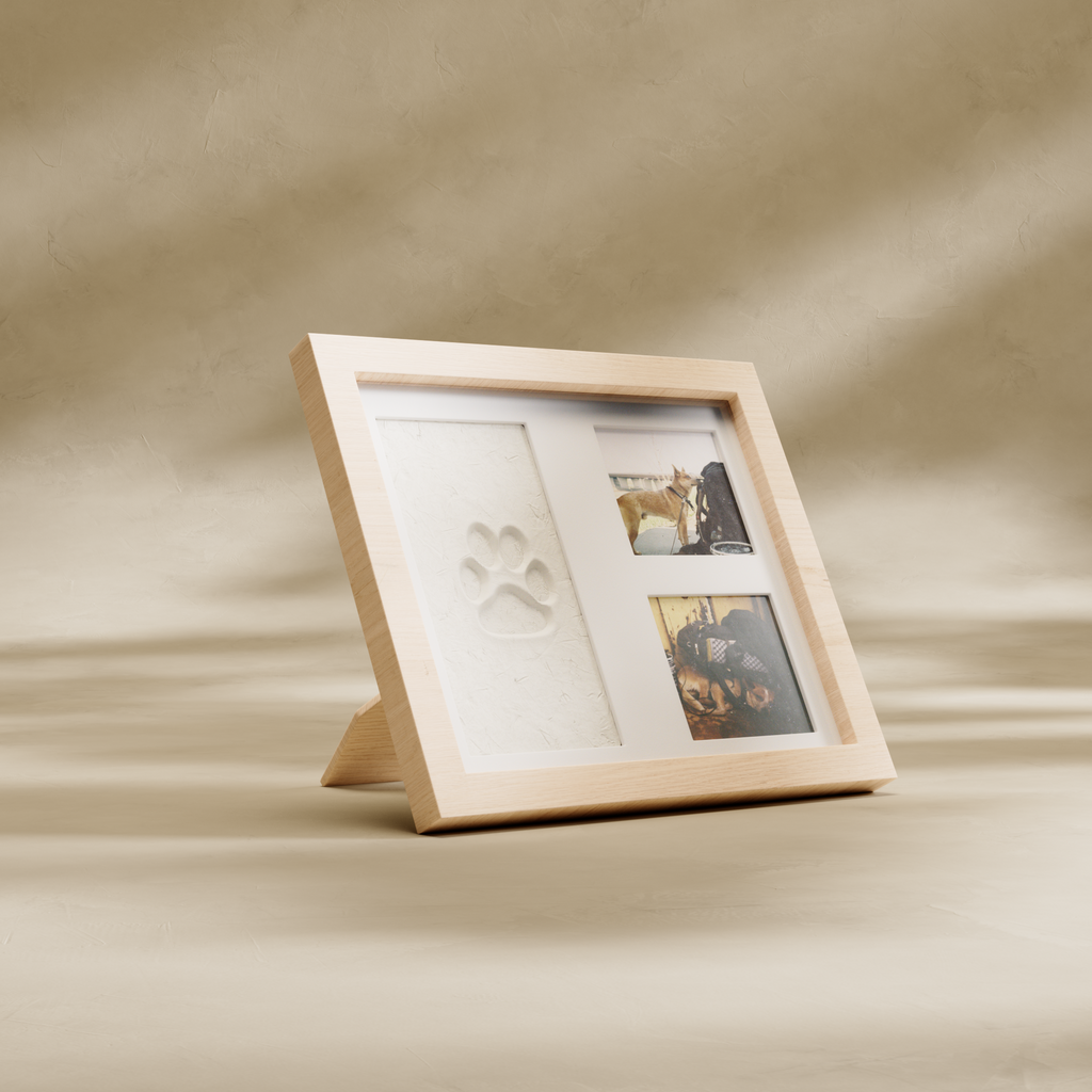 Paw & Print Keepsake Kit